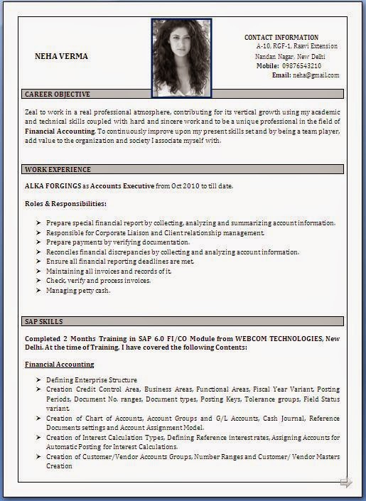 Sample resume siebel developer